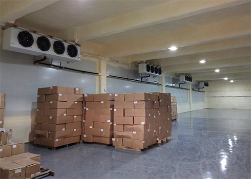 體外試劑疫苗冷庫建造標準