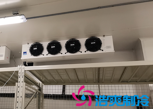 建造-30~-80℃超低溫血漿蛋白冷凍庫需要花費多少價格？