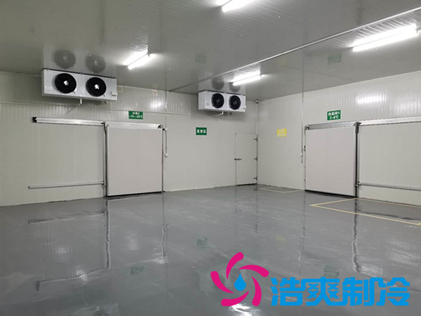 建造6000m3醫(yī)藥冷藏庫安裝造價需要投資多少費用？
