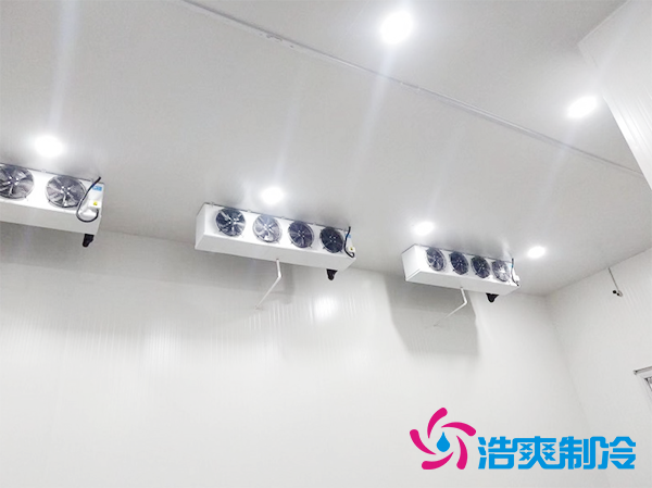 智能自動(dòng)化體外診斷試劑冷庫倉儲(chǔ)定制專業(yè)廠家