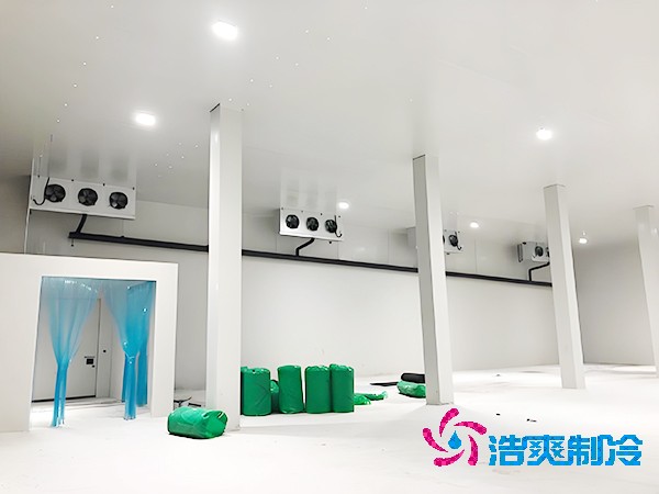 醫(yī)藥冷凍庫的安裝特性有哪些？