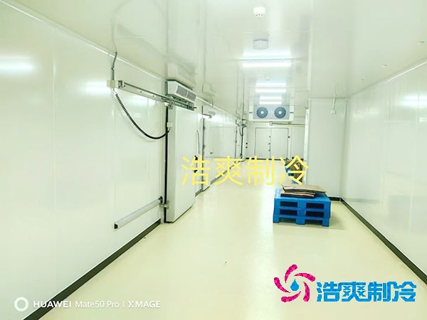 2025年全國(guó)醫(yī)藥冷庫(kù)造價(jià)解析與投資指南！
