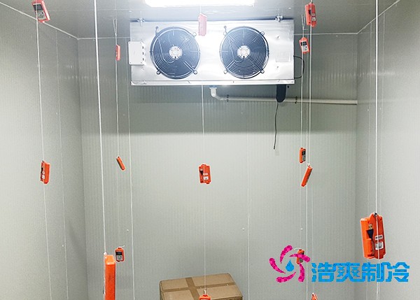 醫(yī)藥冷庫造價一平米竟要這么多錢？溫度決定成本！
