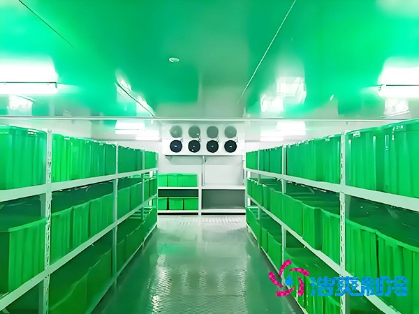  三級(jí)醫(yī)院建設(shè)醫(yī)用耗材冷庫(kù)面積標(biāo)準(zhǔn)