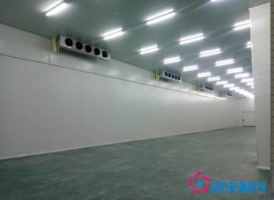  300立方社區(qū)衛(wèi)生中心冷藏庫建造費用造價是多少？