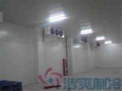  建造一個-60℃的超低溫冷庫需要注意的因素？
