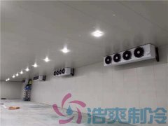  建設(shè)一間醫(yī)藥疫苗冷庫價格費用？